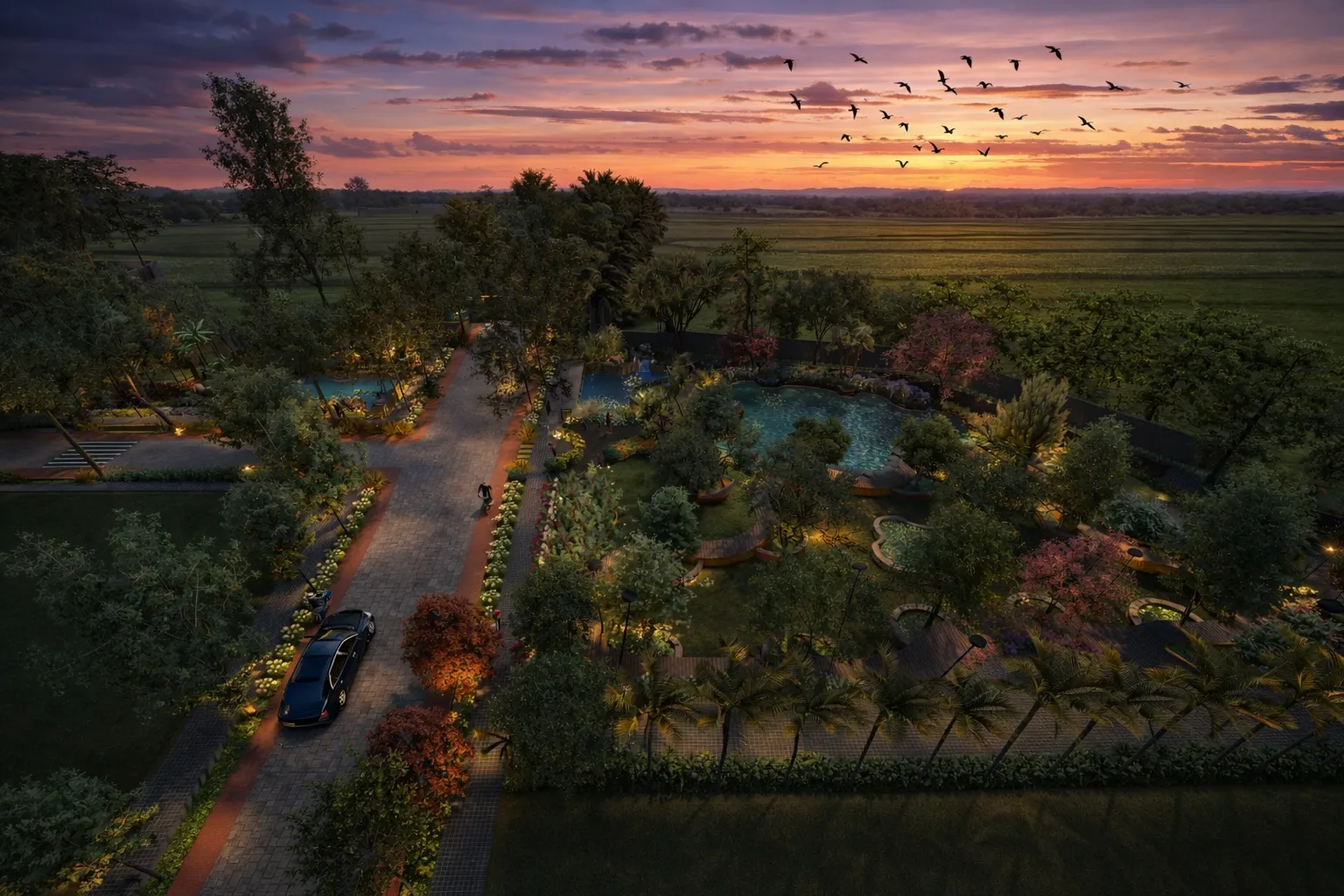 Gallery image 6